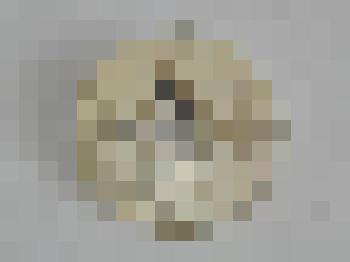 Значок "PITTSBURGH PENGUJNS"