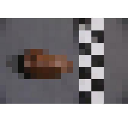 коллекция В.Ф. Лагодича. Талисман каменный выполненный в виде головы человека. Камень коричневого цвета