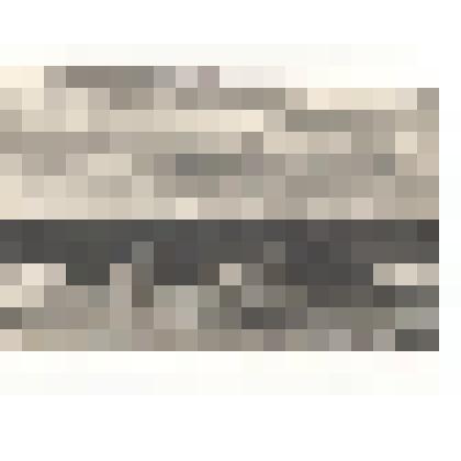 Фотография. Совхоз. На уборке зерновых