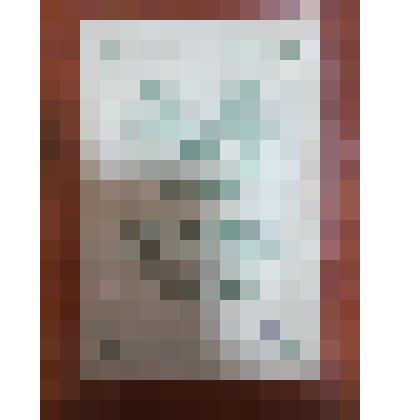 Свидетельство о рождение гр. Бурки Кирилла Ивановича