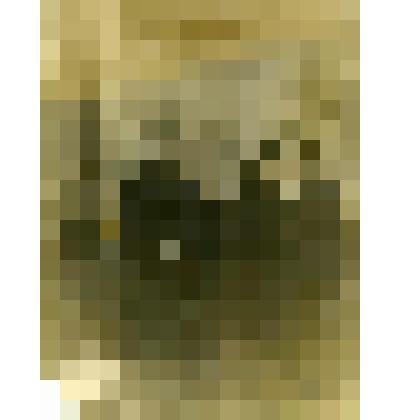 Фотография. Чижовы, жители села Дьяковского