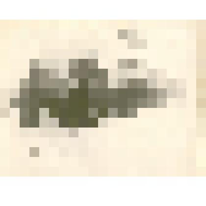 Фотография: колонна школы №5 на празднике 7 ноября 1952 г. в г.Камень-на-Оби Алтайского края