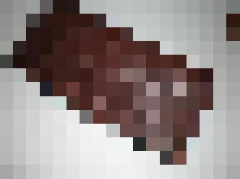 Футляр для очков Н.К. Рериха