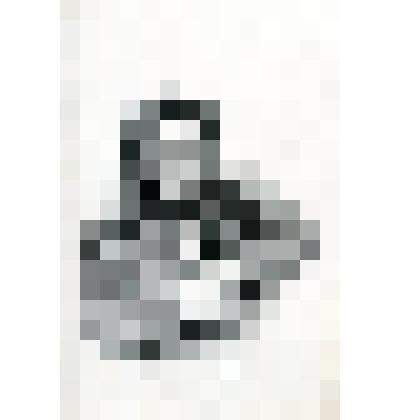 Литография: Francois Schubert