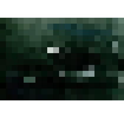 Негатив ч/б "Поздравление Лычкину Анатолию Михайловичу"