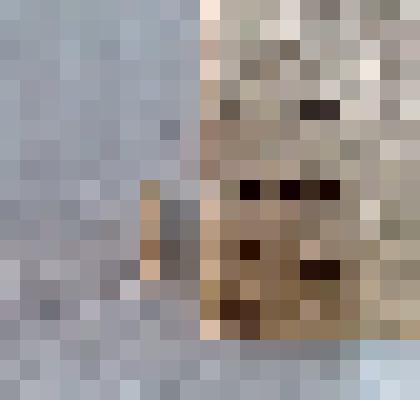 Игла морского ежа