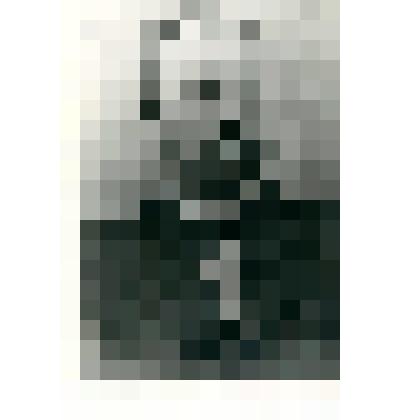 Фотокопия. Бялыницкий –Бируля Алексей Андреевич-зоолог Русской полярной экспедиции