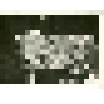 Фотография. Походный чемодан на нем медная чернильница, принадлежавшие И.Д. Черскому