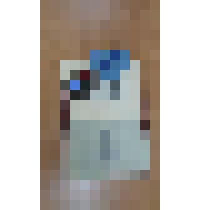 Орденская книжка