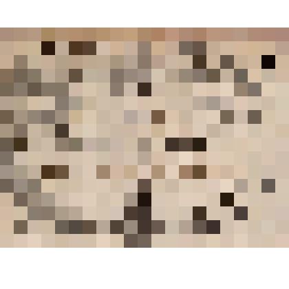 Экслибрис Шульца, В