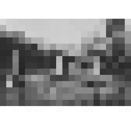 Фермерский дворец. Западный флигель, вид с севера-запада