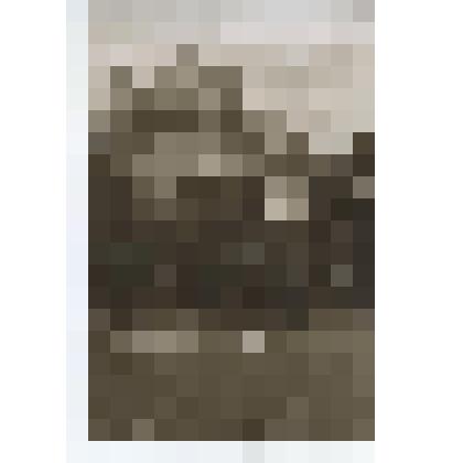 Открытка.Лондон. Большой парк. Статуя летящего Эроса..  Изд. Валентина «Фото-Браун»