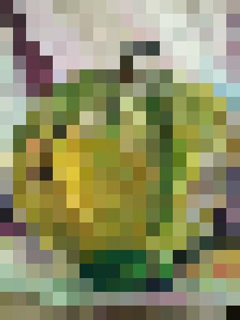 Картина. Натюрморт с огурцом и арбузом