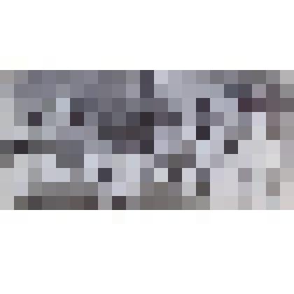 Фотография. Группа спортсменов