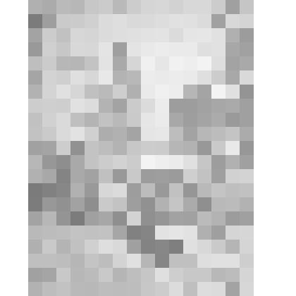 Набор гравюр "Старая Москва", выпущенный к 800-летию Москвы. Лист 1 - гравюра "Измайлово"