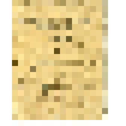 Билет члена Архангельской организации Российского Коммунистического Союза Молодежи