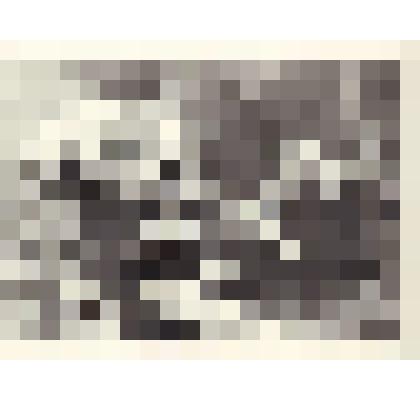 Фото.Учащиеся Красивской школы на строительстве спортзала