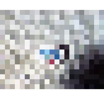 Значок. Москва XXII Олимпиада. Академическая гребля