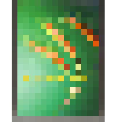 Книга "Агропромышленный комплекс Ростовской области - XXI век"