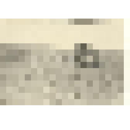 Фотография: лущение почвы в Кировском отделении совхоза "Октябрь" Каменского района Алтайского края. Тракторист Железнов Н.Е