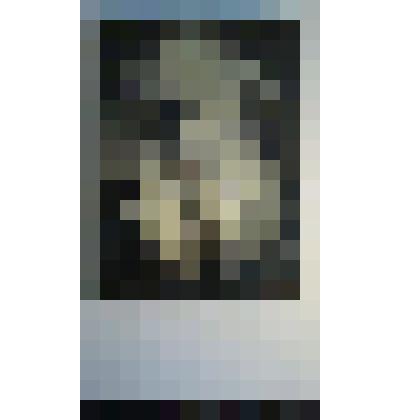 Портрет Л. Н. Толстого черно-белый на шелковой ткани