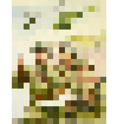 Иллюстрация к книге А. Маркуши "Я - солдат, и ты - солдат"