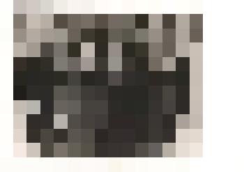 Фотография черно-белая групповая. Делегаты 42-ой партийной конференции 23.XI.1985 г