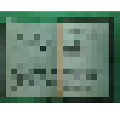 Удостоверение Института повышения квалификации руководящих работников и специалистов (вкладыш) Романова П.М