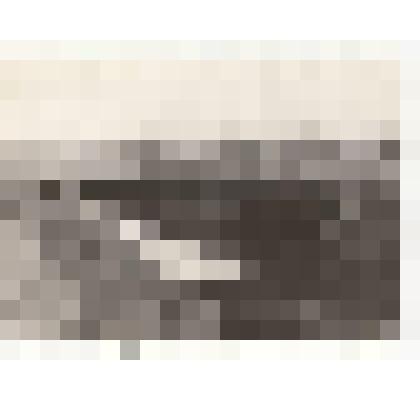 Фото/чб. Энгельсская опытно-мелиоративная станция. Автомост через оросительный водоканал в поле. 1960-1970-е