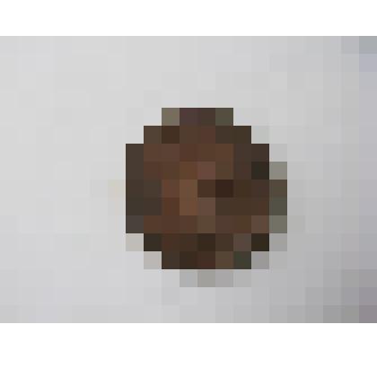 Монета. 2 копейки