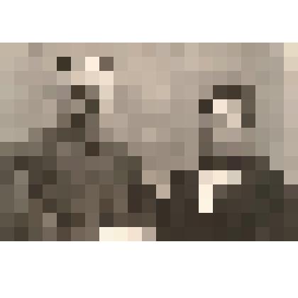 Фотокопия. "А.С. Попов с женой Р.А. Поповой. 1905 год"