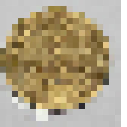 Монета достоинством 2 копейки, 1938 года выпуска