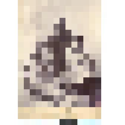 Фотография черно-белая. Портрет неизвестной семьи из трех человек