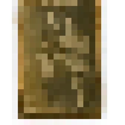 Фотография. Семья Гаврилиных. Село Коломенское