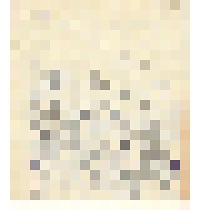 Документ. Письмо (черновик) Белопухова С. С., краеведа города Кинешмы, Прокофьеву Дмитрию Георгиевичу (1905), писателю города Иваново, по вопросами издания путеводителя "Знакомьтесь: Кинешма". Из коллекции материалов о Белопухове Сергее Семеновиче (1900-1