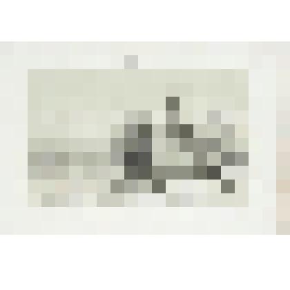 Литография. "Вид Нижнего Новгорода. Благовещенский монастырь."