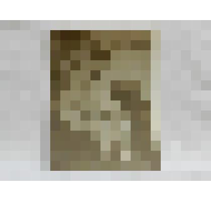 Фотография Камзолкина Е.И. у камина