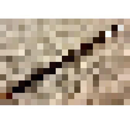 Карандаш графитный чертежный «Копиручет» Миловидова Бориса Васильевича, саратовского художника-графика, из коллекции документальных, фотографических и вещевых материалов о Миловидовой Инне Борисовне (1929-2009), кандидате биологических наук, преподавателе