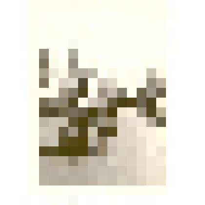 Фотография: демонстрация 1 мая 1963 года в г.Камне-на-Оби