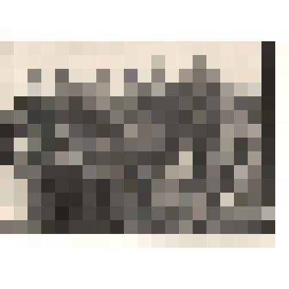 Фотография. Рабочие мраморного карьера, среди них Михальков И.Р. (1 ряд 4-й справа)