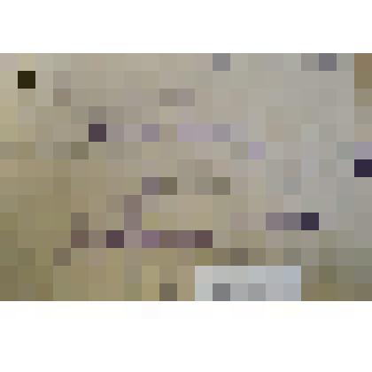 Трудовая книжка "Трудовая книжка колхозника Пыстиной А. С."