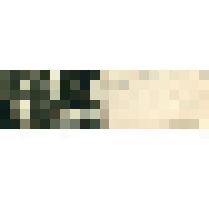 «С.-Петербург. Общество врачей-гомеопатов. Невский проспект, 82. Первый кабинет доктора», открытка