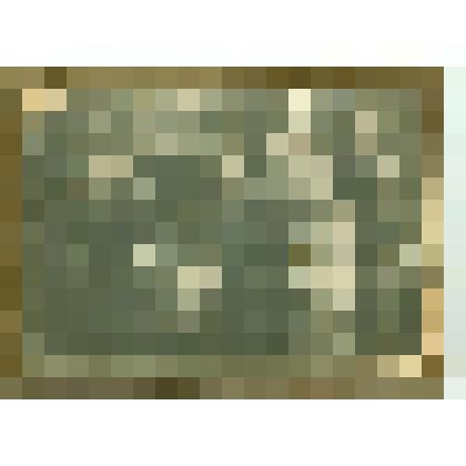 Фотографии. Фото. Сарлина (Уязнова) Ф.И. в первом ряду вторая справа