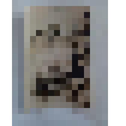 Фотография Барков Анатолий