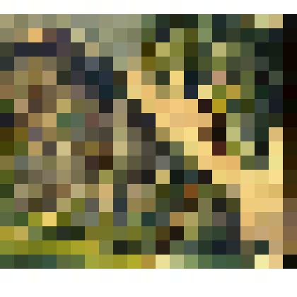 Жигули. Козьи Рожки