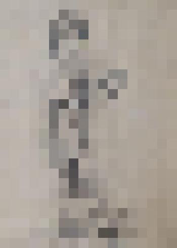 "Студентка". Графика