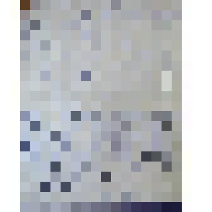 Письмо Чубко П. Н. Кургуз Е.В