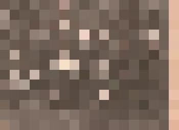 Фотография на картоне. Служащие имения помещицы Раевской М.Г. Изображение в три ряда; на фоне молодых берез