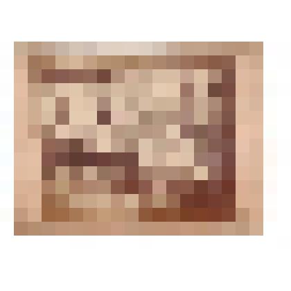 Фотография. Васильевско-Шайтанский завод. Воздуходувные меха