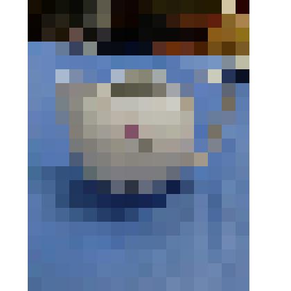 Молочница фарфоровая